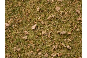 Травяная смесь Альпийский луг, 2,5-6 мм, 50 гр
