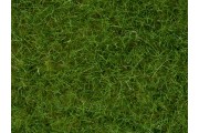 Высокая трава, 6 мм, светло-зеленая, 100 гр