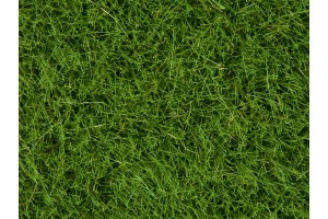 Высокая трава, 6 мм, зеленая, 100 гр