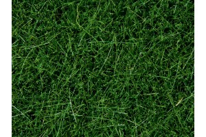 Высокая трава, 6 мм, темно-зеленая, 100 гр