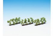 Плантация деревьев