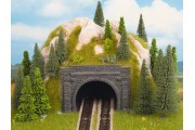 Портал тоннеля, 2 пути